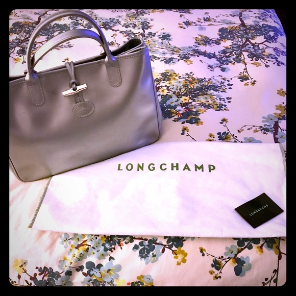 Longchamp Roseau Metallic Silver Tote {Authentic} Longchamp Roseau Metallic Silver Tote {Authentic}